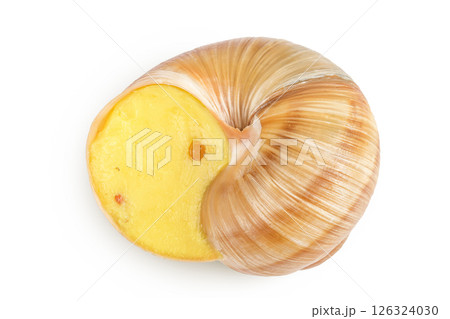 Dijon escargot snail filled with butter, garlic, Dijon mustard and cheese isolated on white background. Top view 126324030