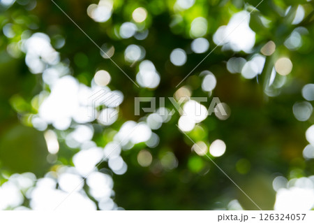 Business concept nature revolves around citrus orchard orange tree are growing, vibrant fruit organic lush leaves creating stunning background, green blur garden of thriving crop ripe laden branches 126324057