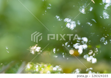 Business concept nature revolves around citrus orchard orange tree are growing, vibrant fruit organic lush leaves creating stunning background, green blur garden of thriving crop ripe laden branches Business concept nature revolves around citrus orchard orange tree are growing, vibrant fruit organic lush leaves creating stunning background, green blur garden of thriving crop ripe laden branches 126324103