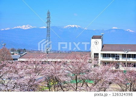 《長野県》塩尻市広陵中学校 満開の桜と残雪の北アルプス 《長野県》塩尻市広陵中学校 満開の桜と残雪の北アルプス 126324398