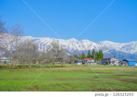 四十九院のこぶしと白馬三山【北安曇郡白馬村】 四十九院のこぶしと白馬三山【北安曇郡白馬村】 126325203