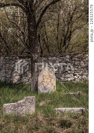 Fragments of an old Jewish cemetery near the village of Trstin, Slovakia Fragments of an old Jewish cemetery near the village of Trstin, Slovakia 126325579