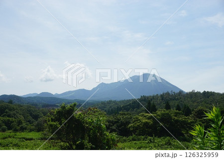 夏の大山 126325959