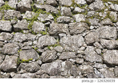 石垣 石垣 126326039