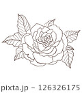 Monochrome Hand Drawn Line Art Rose Flower Drawing 126326175