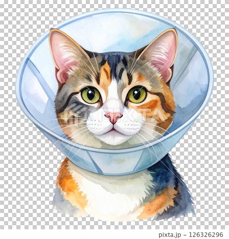Chubby Calico Cat adorable Clipart watercolor cozy naps and playful 126326296