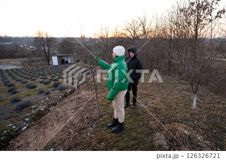 Participating in the tranquil practice of winter tree care while surrounded by a peaceful agricultural landscape during the enchanting twilight hours 126326721