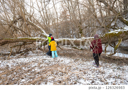 Family adventure in winter wonderland, exploring a snowy forest trail with fallen trees and soft, white snow blanketing the ground under a serene sky 126326983