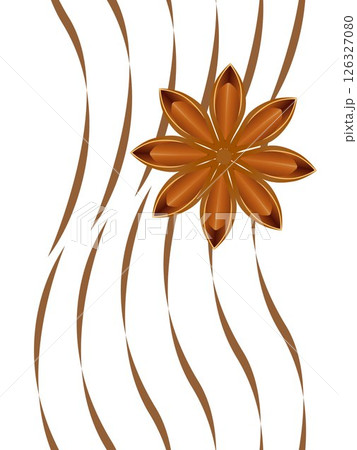 Seamless vertical pattern with star anise on a white background. 126327080