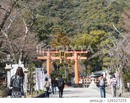 赤い鳥居　京都　松尾大社 126327255