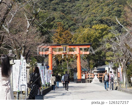 赤い鳥居　京都　松尾大社 126327257