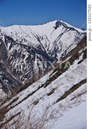 春の針ノ木岳雪渓から振り返って爺ヶ岳を望む 126327505