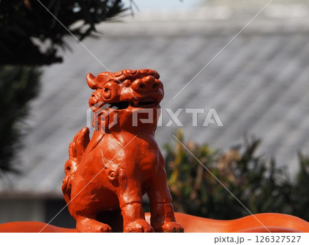常滑　やきもの散歩道	シーサー 126327527