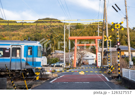 【牟岐線】鳥居の横を通過する特急列車 【牟岐線】鳥居の横を通過する特急列車 126327557