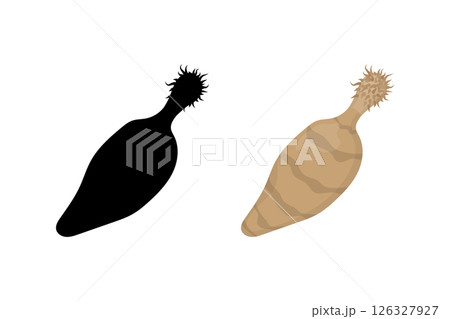 Thorny headed worm, spiny headed worm or acanthocephalan. 126327927