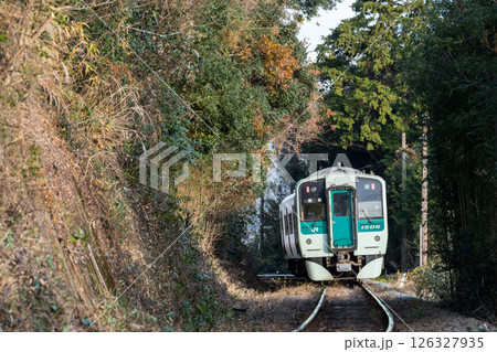 【牟岐線】雑木林の中を通過していく普通列車 126327935