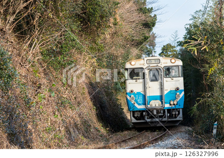 【牟岐線】雑木林の中を通過していく普通列車 126327996