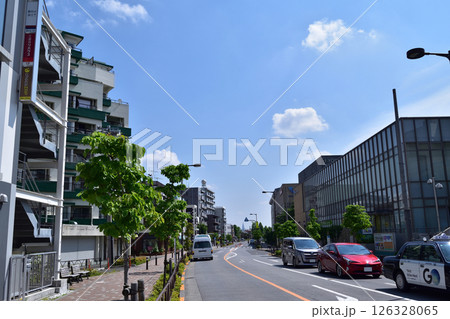 世田谷・経堂駅前ユリの木通り 世田谷・経堂駅前ユリの木通り 126328065