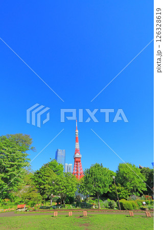 東京都港区、東京タワーと新緑の風景 東京都港区、東京タワーと新緑の風景 126328619