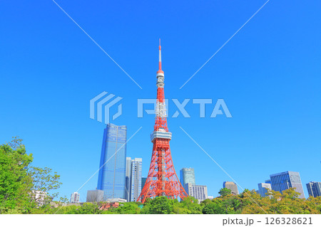 東京都港区、東京タワーと新緑の風景 東京都港区、東京タワーと新緑の風景 126328621
