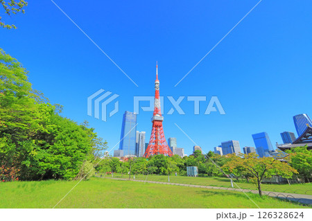 東京都港区、東京タワーと新緑の風景 126328624