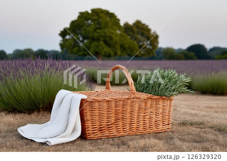 A traditional wicker picnic basket with a white linen napkin and fresh lavender sprigs, set against a beautiful backdrop of a lavender field and a majestic oak tree.  126329320