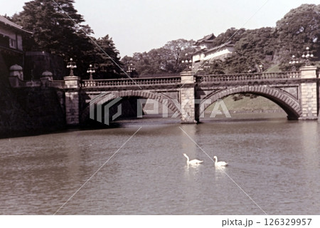 古写真 1956年 東京 皇居外苑 正門石橋 古写真 1956年 東京 皇居外苑 正門石橋 126329957