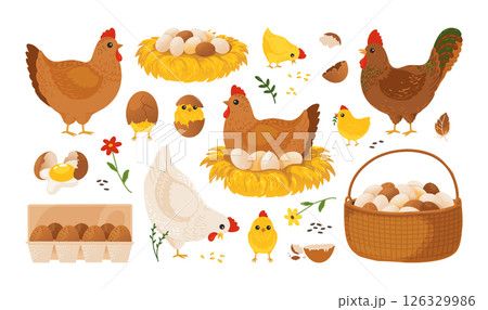 Chicken egg. Hen, chick on farm nest as tray, cute eat hatch for Easter. Funny bird characters, baby fresh. Domestic animals. Eco food in basket. Vector cartoon flat isolated set Chicken egg. Hen, chick on farm nest as tray, cute eat hatch for Easter. Funny bird characters, baby fresh. Domestic animals. Eco food in basket. Vector cartoon flat isolated set 126329986