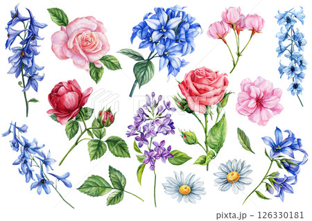 watercolor flower collection with roses delphinium lilac daisies blossoms botanical floral set isolated white background watercolor flower collection with roses delphinium lilac daisies blossoms botanical floral set isolated white background 126330181