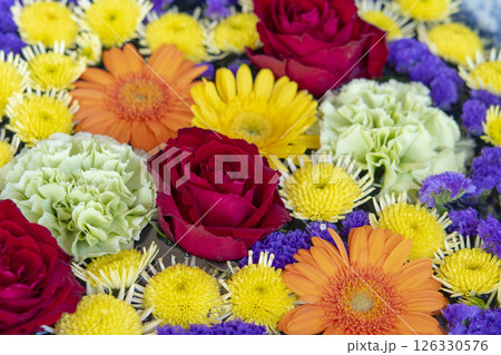 行田 花手水2025 126330576