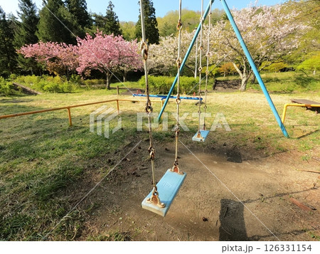 遠刈田公園の遊具 遠刈田公園の遊具 126331154