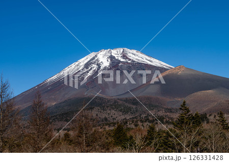 静岡県裾野市　水ヶ塚公園から見た12月の富士山と宝永山 126331428