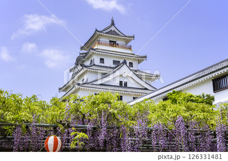 藤の花が見頃を迎えた美しい唐津城(佐賀県唐津市) 藤の花が見頃を迎えた美しい唐津城(佐賀県唐津市) 126331481