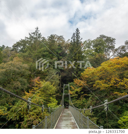 長野県飯田市　天竜峡に掛かるつつじ橋 126331700