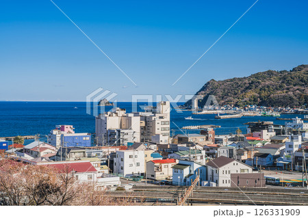 伊東市の街並み(静岡県) 伊東市の街並み(静岡県) 126331909