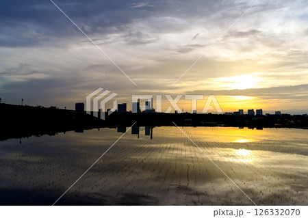 夕景のさいたま新都心と見沼田んぼ 夕景のさいたま新都心と見沼田んぼ 126332070