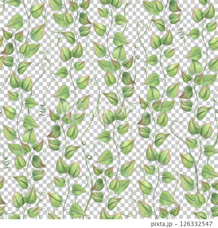 Watercolor climbing vine branches seamless pattern isolated background. Abstract wild plants with lush foliage for textile design, wallpaper, wedding stationery, and nature inspired home decor. Watercolor climbing vine branches seamless pattern isolated background. Abstract wild plants with lush foliage for textile design, wallpaper, wedding stationery, and nature inspired home decor. 126332547