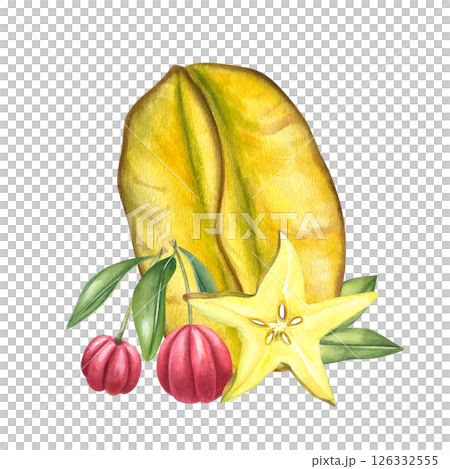 Watercolor whole starfruit, star shaped slice, and antioxidant rich acerola berries composition isolated background. Summer tropical fruits illustration for food branding, healthy juice packaging Watercolor whole starfruit, star shaped slice, and antioxidant rich acerola berries composition isolated background. Summer tropical fruits illustration for food branding, healthy juice packaging 126332555
