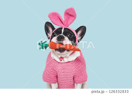 Cute puppy, felt carrot and knitted bunny ears 126332833