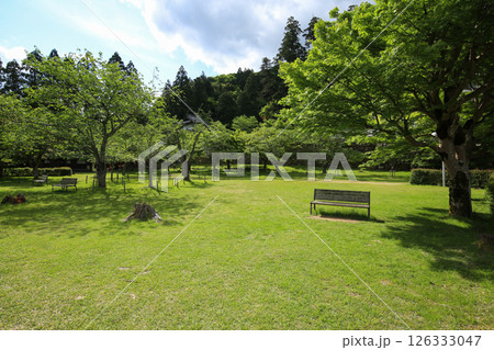 兵庫県勝岡市　二ノ丸跡 126333047