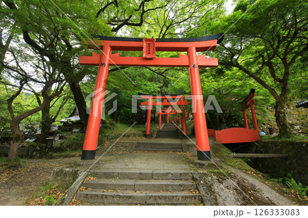 兵庫県勝岡市 有子山稲荷神社への道 兵庫県勝岡市 有子山稲荷神社への道 126333083