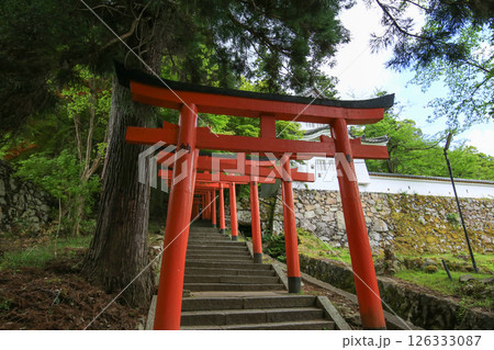 兵庫県勝岡市　有子山稲荷神社への道 126333087