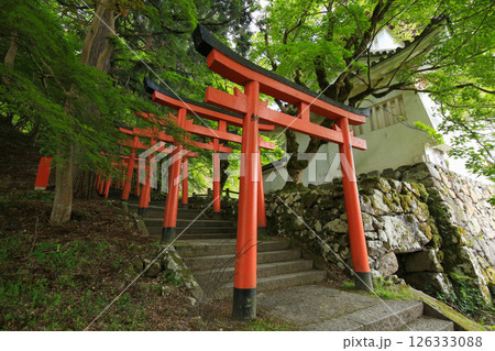 兵庫県勝岡市 有子山稲荷神社への道 兵庫県勝岡市 有子山稲荷神社への道 126333088
