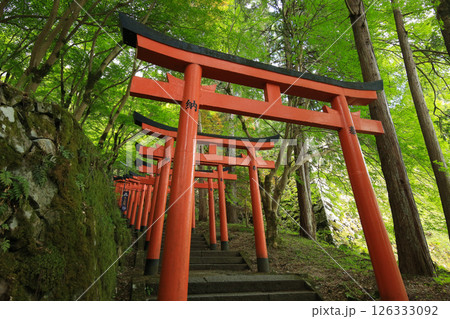 兵庫県勝岡市　有子山稲荷神社への道 126333092