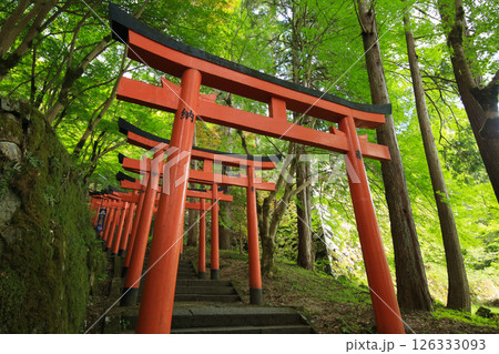 兵庫県勝岡市　有子山稲荷神社への道 126333093