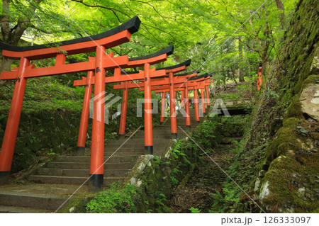 兵庫県勝岡市　有子山稲荷神社への道 126333097