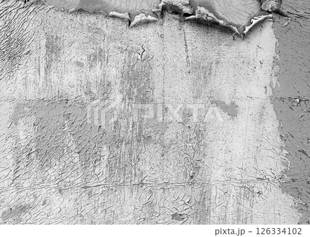 High-resolution monochrome texture of old cracked paint, perfect for use as photo overlay or design background. Flaking paint on metal surface creates grunge aesthetic. 126334102