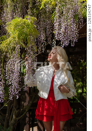 Wisteria Blossom Woman: Blonde woman admires Wisteria flowers in garden during daylight for spring beauty. Wisteria Blossom Woman: Blonde woman admires Wisteria flowers in garden during daylight for spring beauty. 126334747