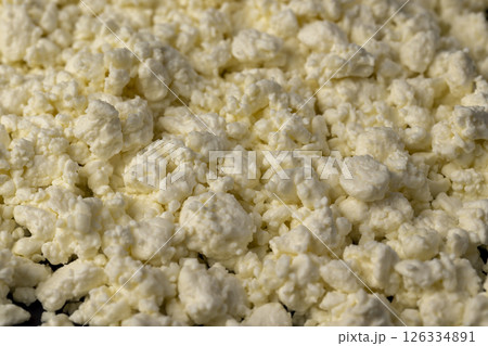 cottage cheese from milk of white color, lumps of freshly made fermented milk product cottage cheese cottage cheese from milk of white color, lumps of freshly made fermented milk product cottage cheese 126334891