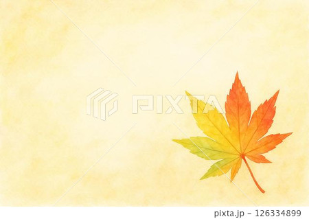 紅葉・もみじ・秋イメージ 126334899